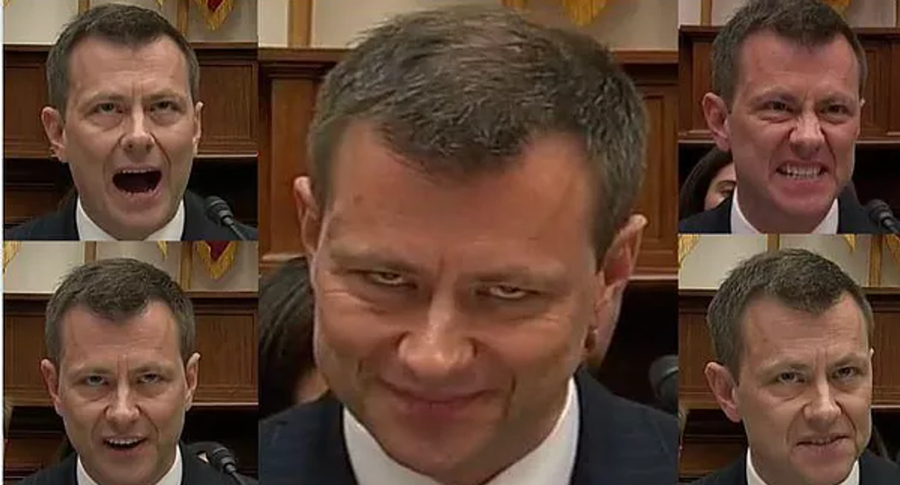 Peter Strzok - Fairfax County DC Swamp Resident